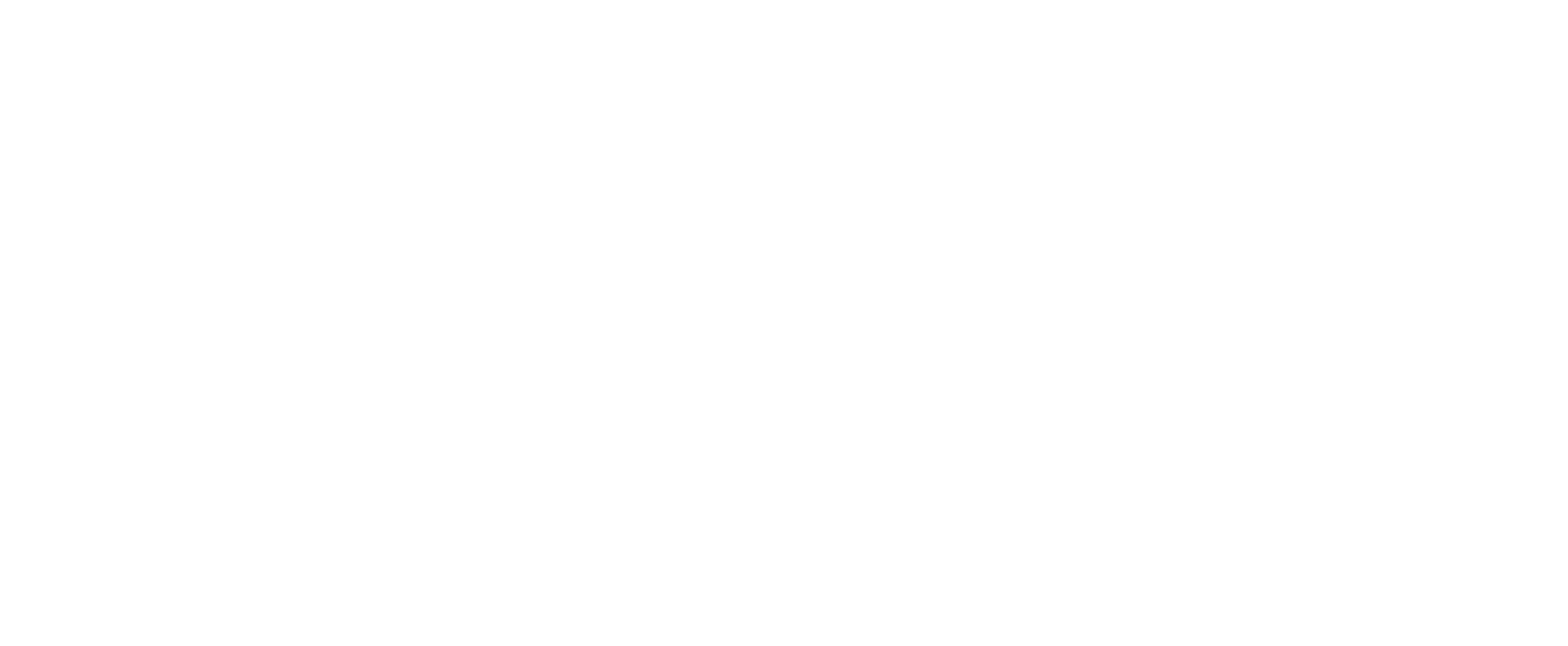 Performance Bullet